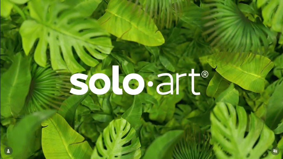 Projeto Agência Solo Art